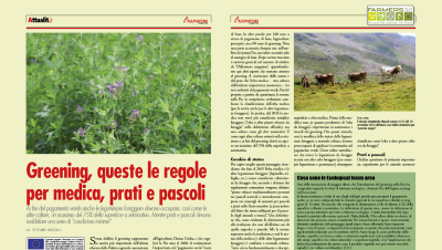 Greening, queste le regole per medica, prati e pascoli