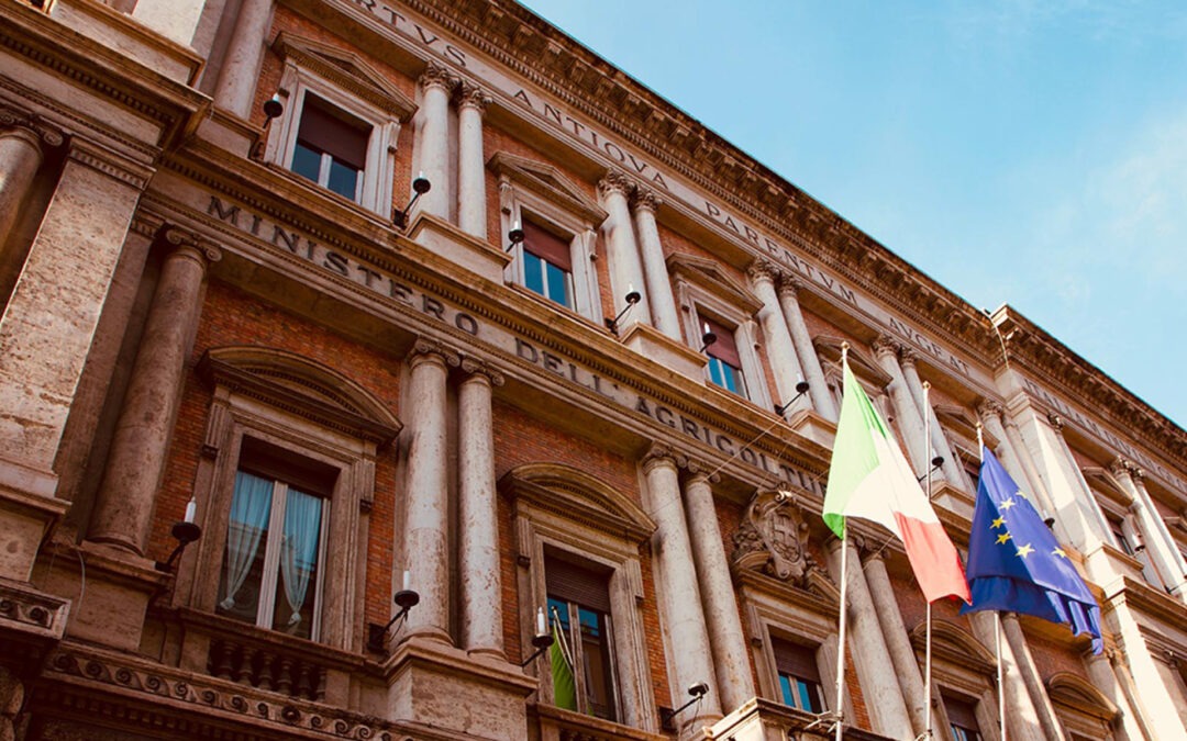 Masaf: nuovo assetto organizzativo del Ministero per azione efficace ed efficiente
