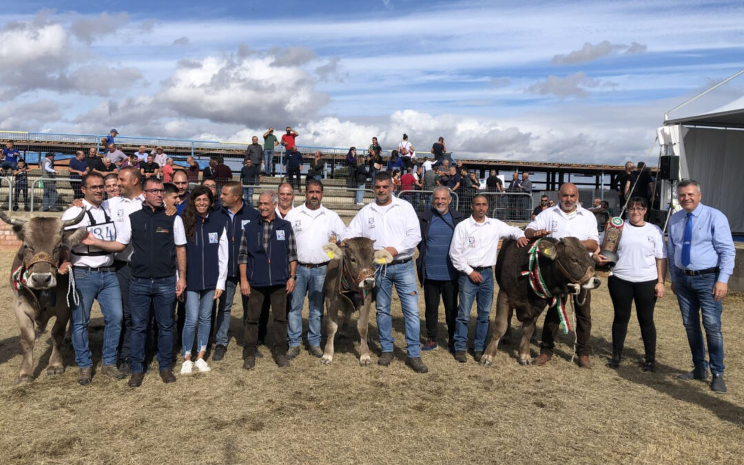 Un grande successo la I Mostra del Bovino di razza Sardo Bruna