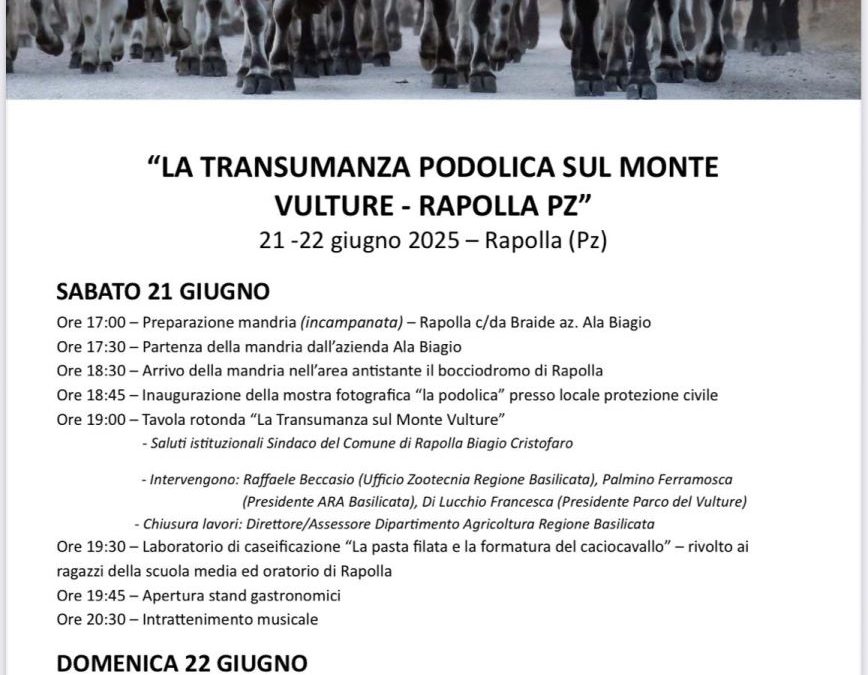 Torna la Transumanza nel potentino