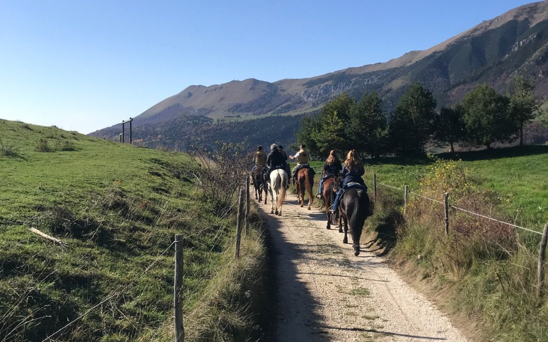 Turismo lento e cultura del cavallo