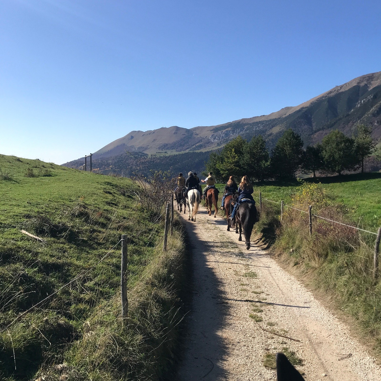 1Ippovia_Monte_Baldo_Fieracavalli_Natura_a_Cavallo