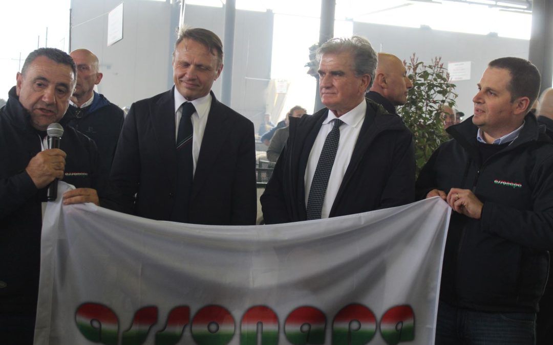 Asso.Na.Pa. lascia il segno ad Agriumbria 2025 con il Concorso di ovini di razza Sarda
