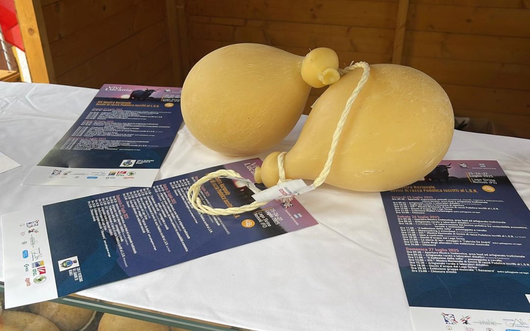 ViviLucania: il caciocavallo Podolico lucano procede spedito verso la dop