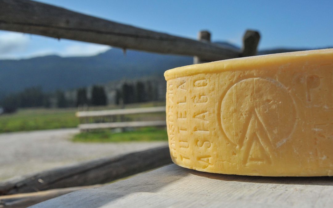 L’Asiago Dop Prodotto della Montagna conquista i ‘Millennials’