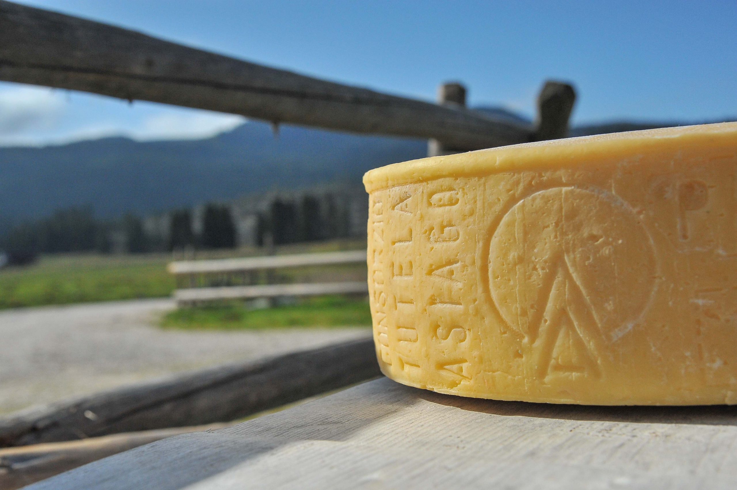 Asiago DOP PRODOTTO DELLA MONTAGNA