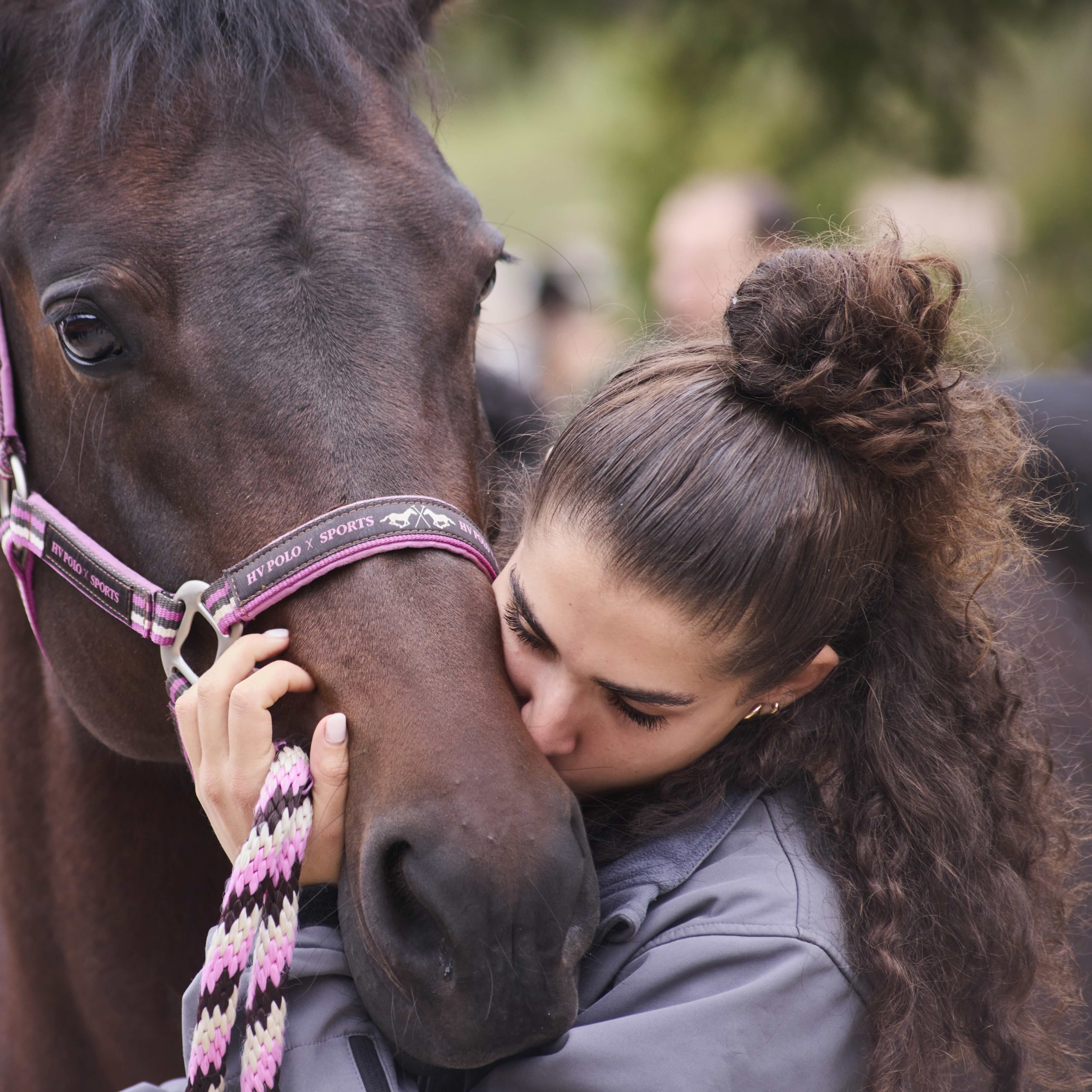Cavallo del Catria 01