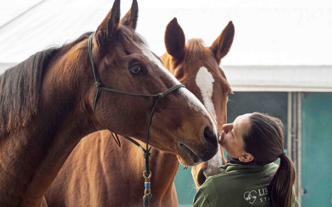 La biglietteria di Fieracavalli 2025 è ufficialmente aperta
