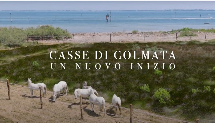 1759952860215_casse di colamata cavalli.webp