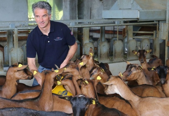 AaFvg_azienda agricola San Gregorio