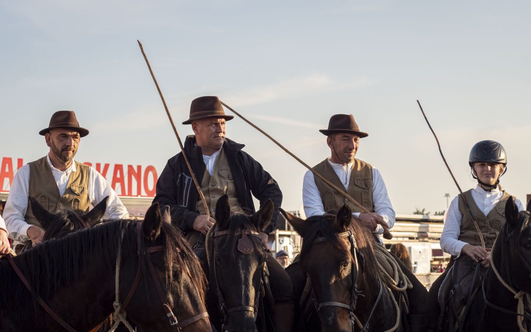 “Fieracavalli” 2025 al via con 2.200 cavalli, 700 aziende e 200 eventi