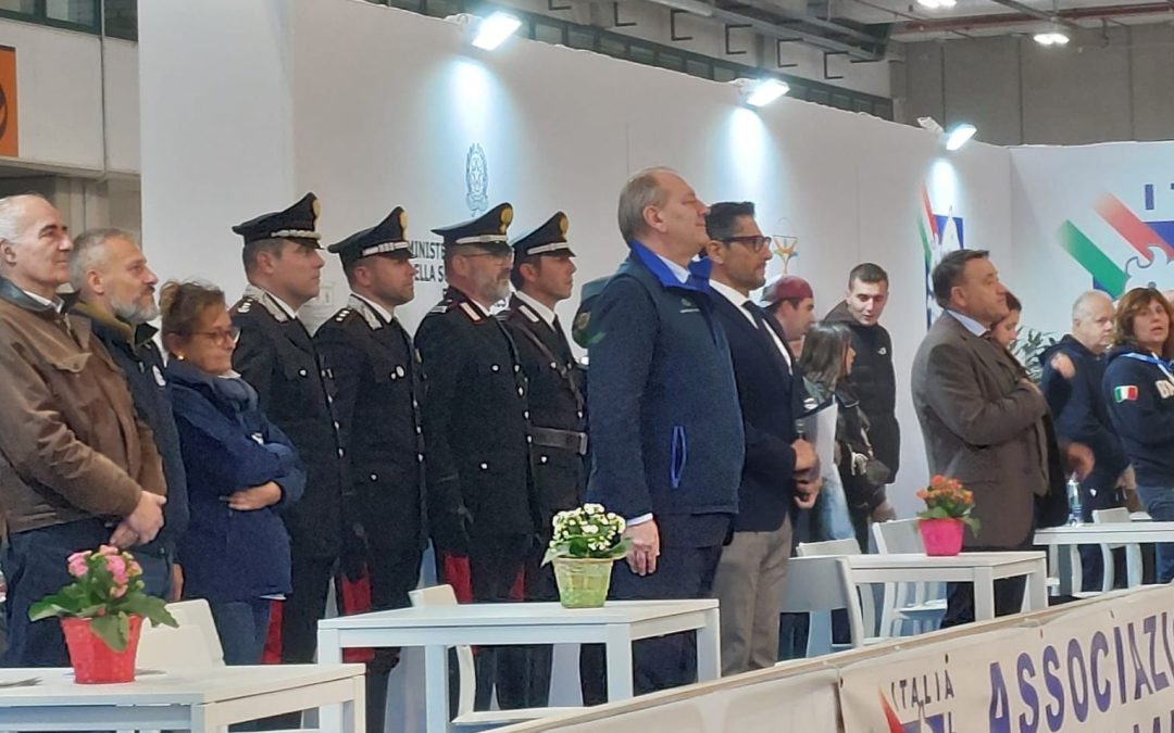 Carosello delle razze Italiane: la vittoria di Italialleva a Fieracavalli Verona 2025