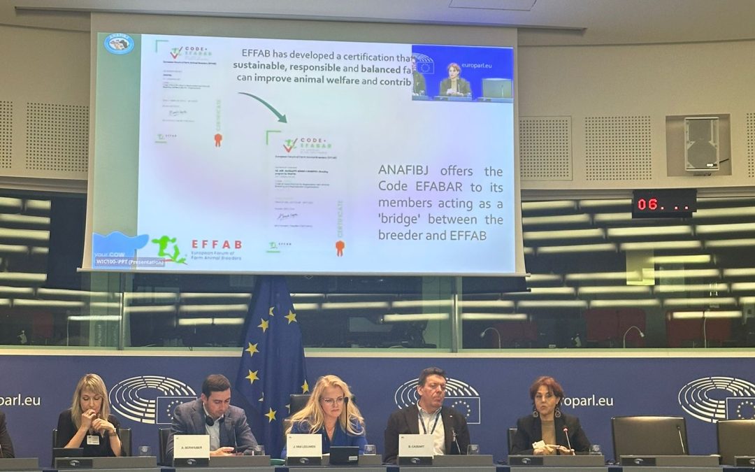 Anafibj a Strasburgo, al Parlamento Europeo