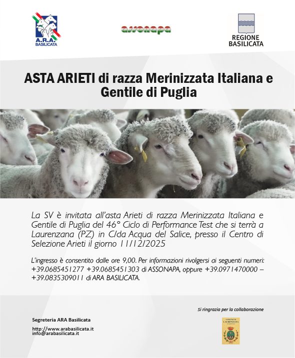asta laurenzana