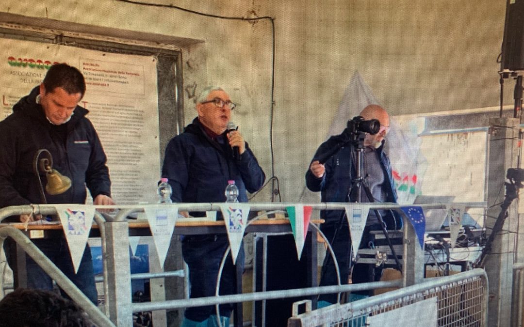 Asta arieti firmata Asso.Na.Pa. e Ara Basilicata: un valore aggiunto al settore ovini da carne di razza Merinizzata Italiana e Gentile di Puglia