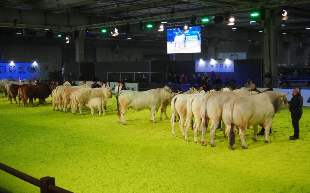 Lollobrigida e Bricolo presentano ‘Fieragricola’ 2026