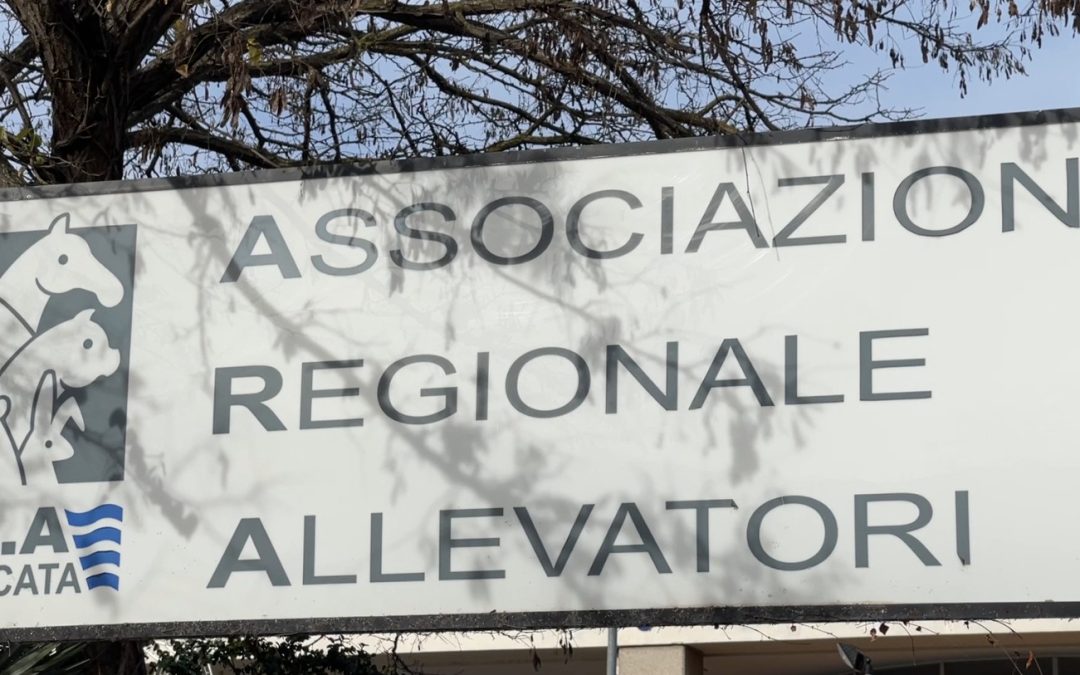Ara: confronto in Regione per definire risorse e soprattutto il ruolo dell’assistenza tecnica in zootecnia per gli allevatori della Basilicata