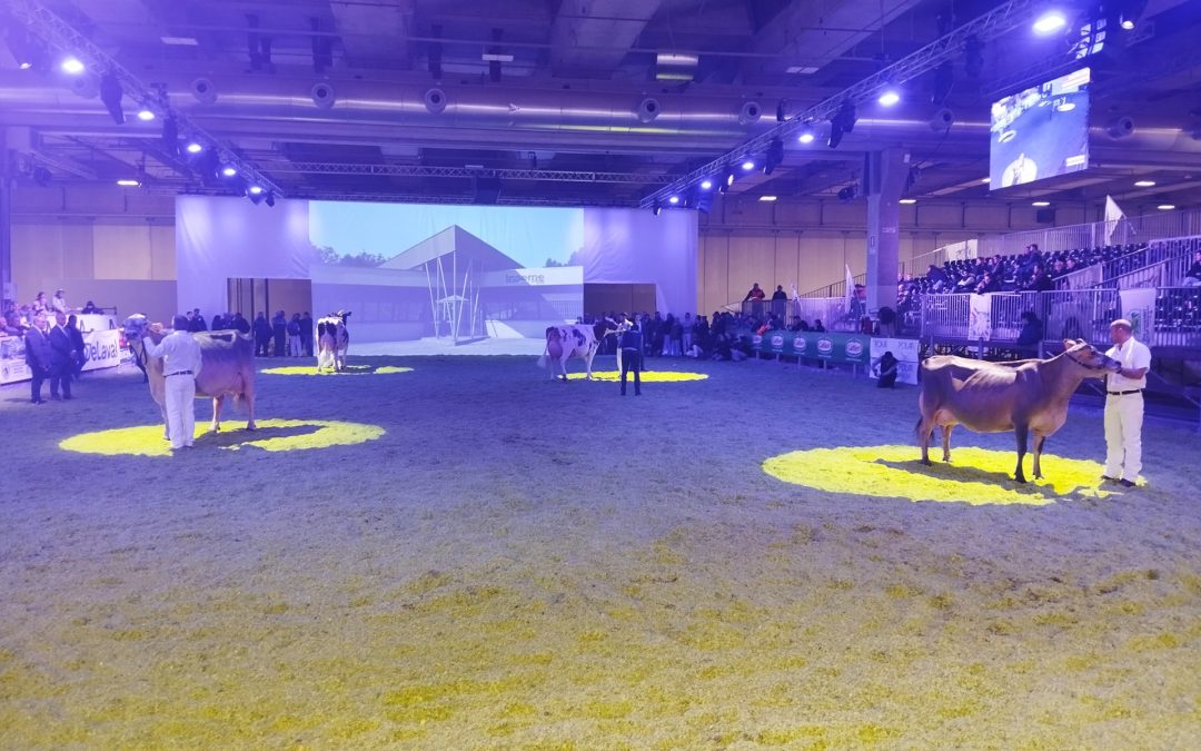 ‘Dairy Show’ da favola!