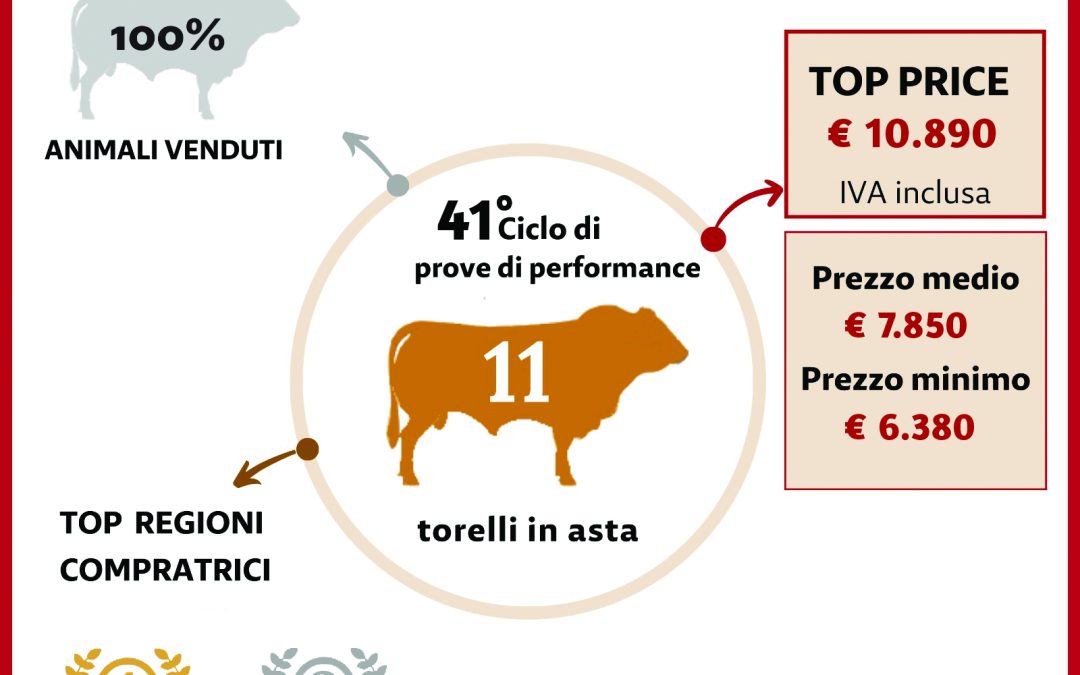 La Limousine Italiana apre l’anno con il botto: asta da record al Centro Genetico