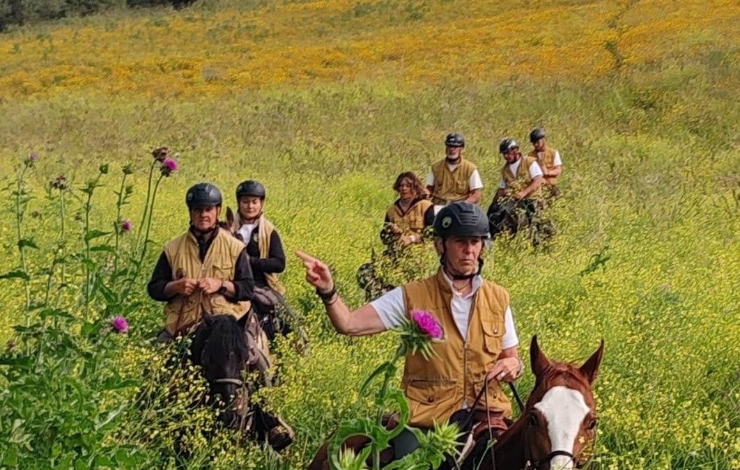 Natura a Cavallo presenta il 24° Raduno Nazionale 2026: ambiente, turismo equestre e cavalli italiani