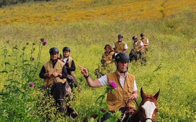 Natura a Cavallo presenta il 24° Raduno Nazionale 2026: ambi...
