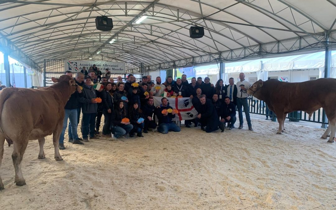 Associazione Allevatori della Regione Sardegna: fiere, è l’anno del record con oltre 25 allevamenti e 160 capi bovini ed ovini