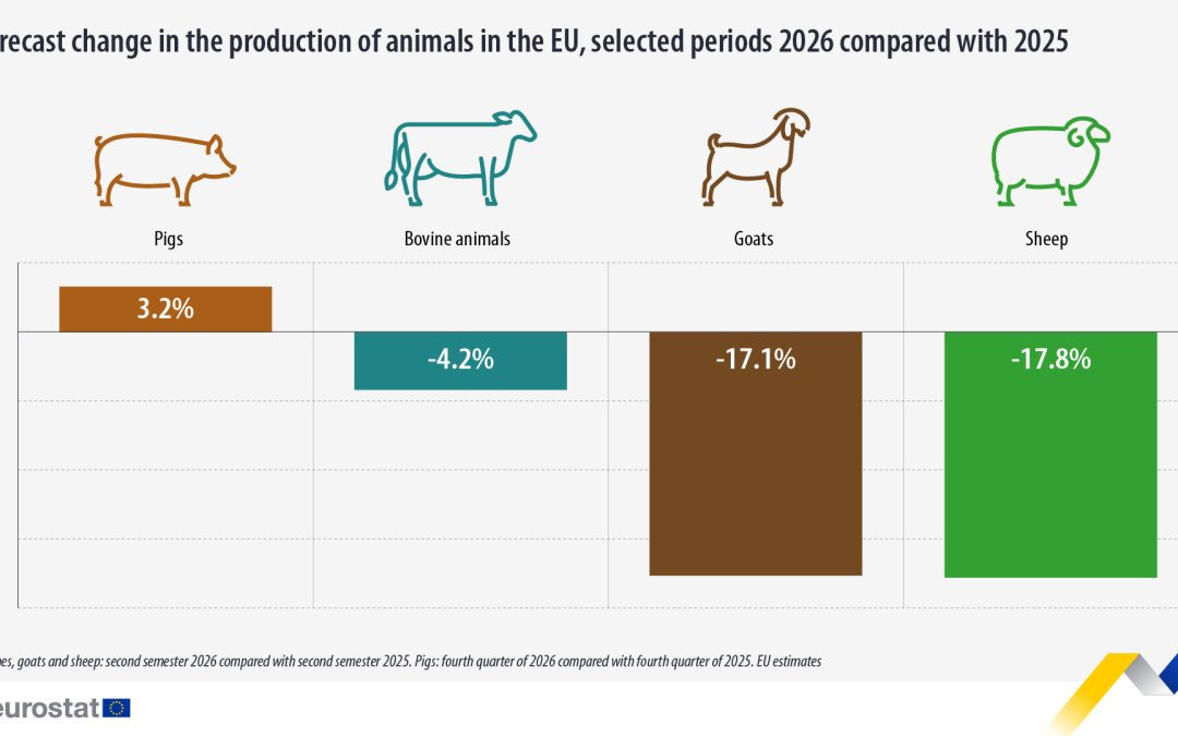 Tendenze della produzione zootecnica nell’UE per il 2026