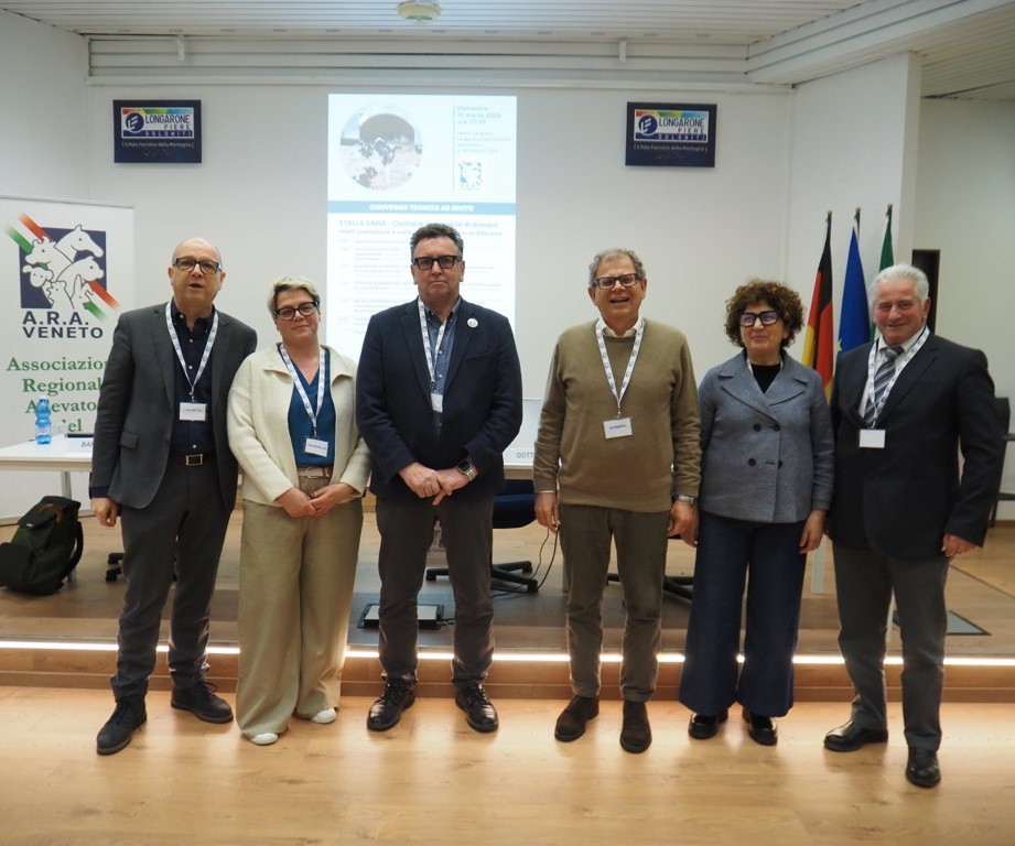 modda sx- luchetta, prevedello, de franceschi, barberio, gottardo, veronese (FILEminimizer)