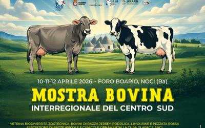 Mostra Bovina Interregionale del Centro Sud 2026