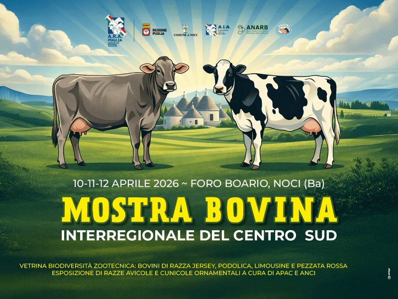 Mostra Bovina Interregionale del Centro Sud 2026