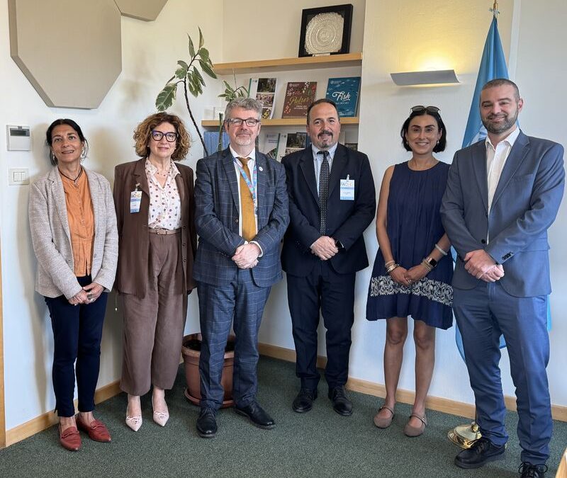 Crea e Fao, incontro a Roma per rafforzare la collaborazione scientifica