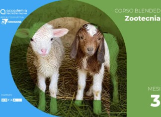 Corsi Uofaa in partenza in questo mese e nel prossimo