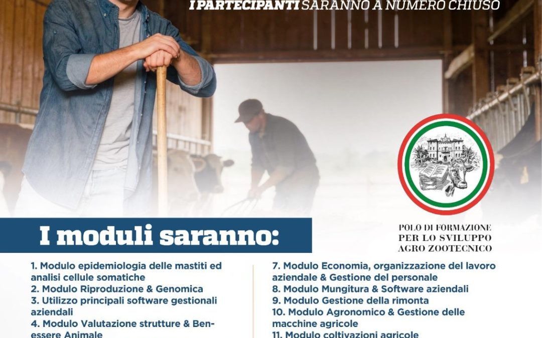 Corso Capostalla 2026