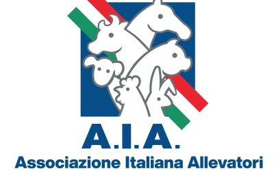 ICAR, le nuove nomine da Verona 2026