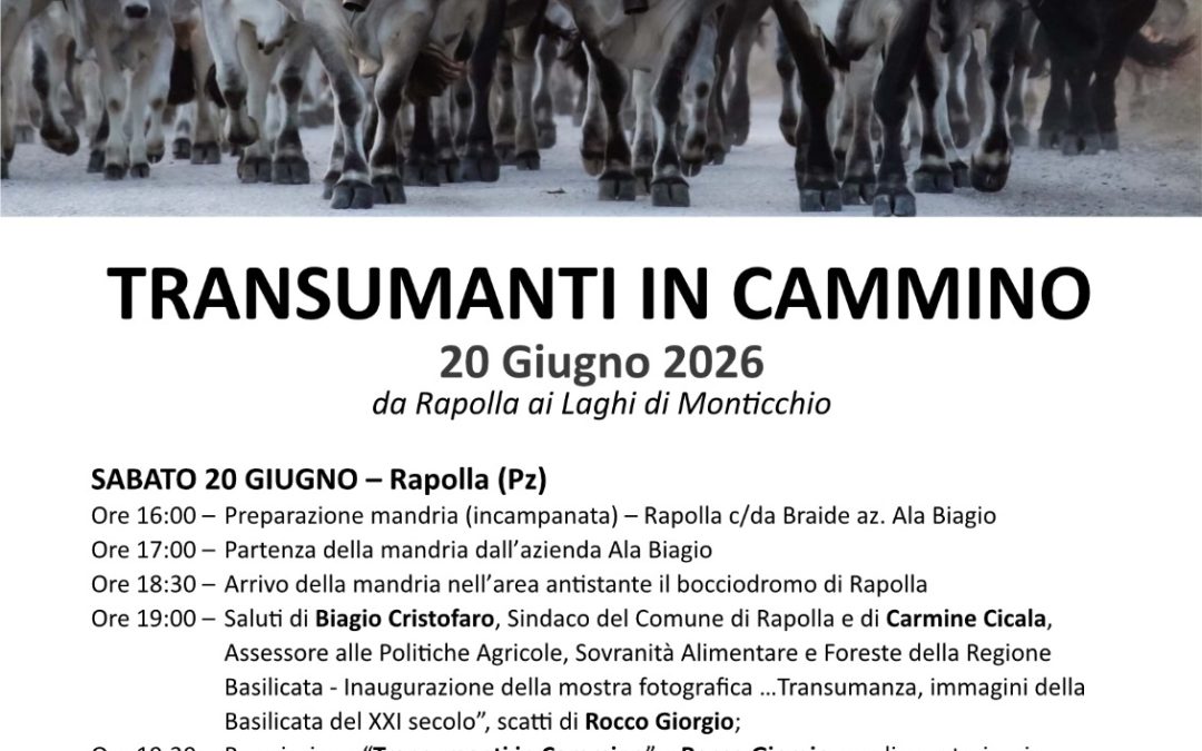“Transumanti in cammino”: sabato al via da Rapolla la storica celebrazione della tradizione podolica