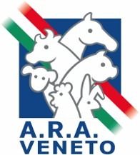 La Fattoria di Italialleva protagonista all’86esima edizione...