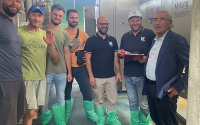 Ara Basilicata, formazione e innovazione al servizio della q...