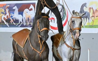 Effetti speciali alla ‘kermesse’ equina del Tifernate