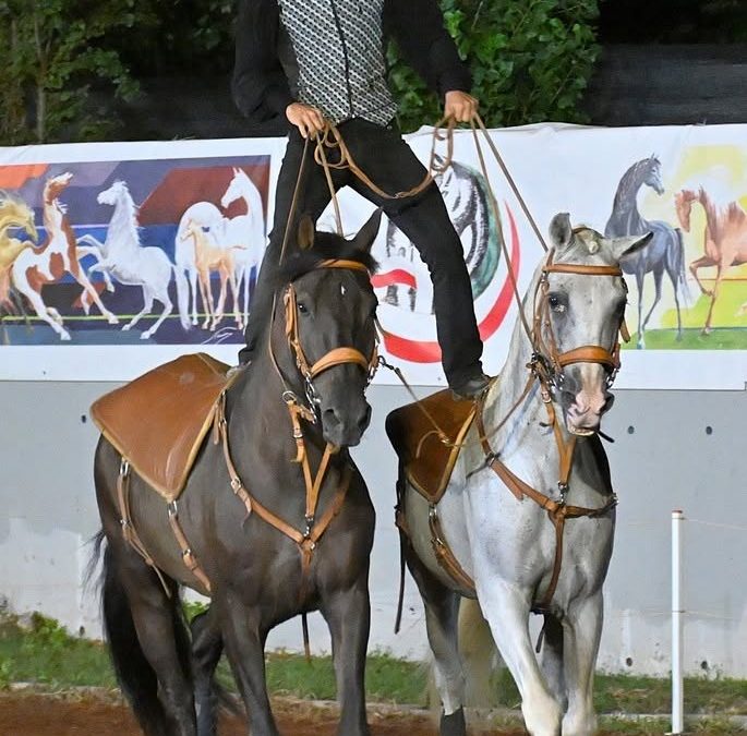 Effetti speciali alla ‘kermesse’ equina del Tifernate