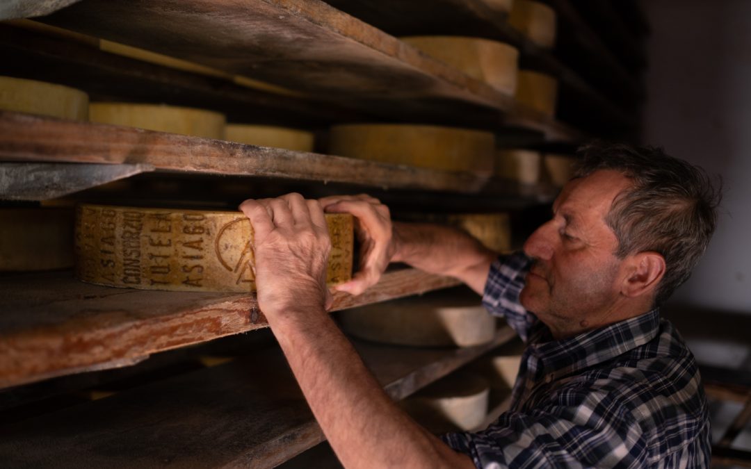 L’Asiago Dop Prodotto della Montagna: vent’anni in buona salute