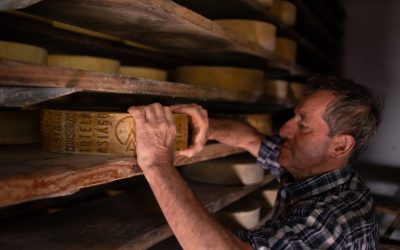 L’Asiago Dop Prodotto della Montagna: vent’anni in buona sal...