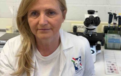 ARAER, la diagnostica veterinaria al servizio della suinicol...